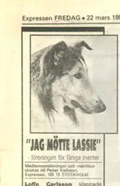Urklipp från Expressens spalt "Jag mötte Lassie"