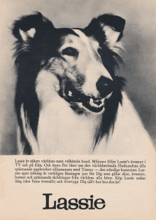 Reklam för serietidningen om hunden Lassie, där man får se collien Lassie på en stor bild i annonsen