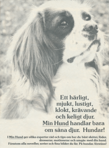 Reklam för serietidningen Min Hund med ett foto på en cockerspaniel i svartvitt